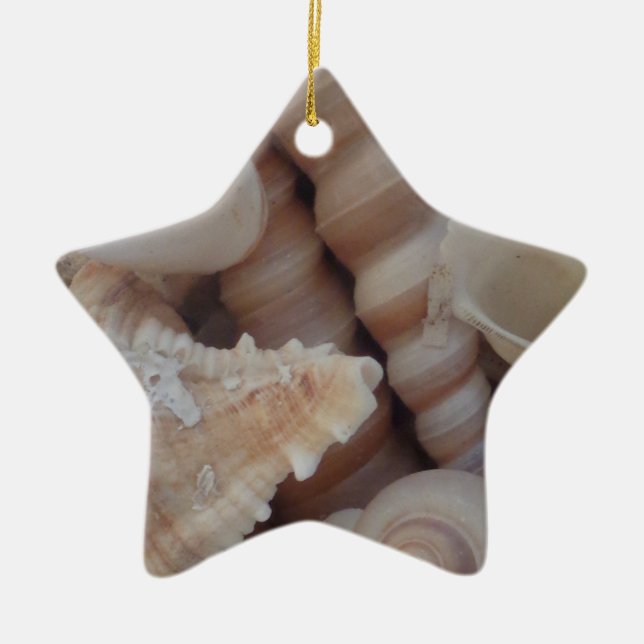 Ornement Étoile En Céramique Coquillages d'été ensoleillés, Sea Shell Beach Lov (Devant)