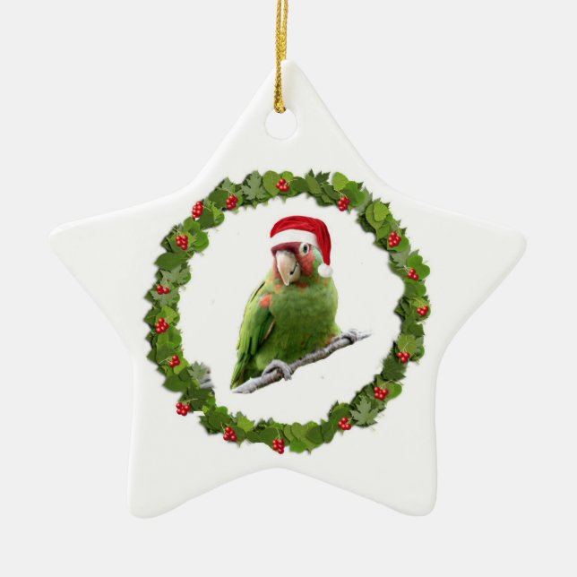 Ornement Étoile En Céramique Cure Christmas Wreath (Devant)