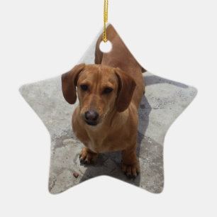 Ornement Étoile En Céramique Dachshund Christmas Orament Star Custom