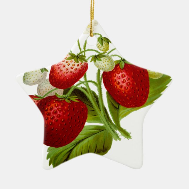 Ornement Étoile En Céramique Feuilles de feuilles de fruits alimentaires (Devant)