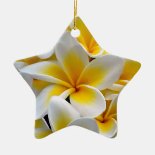 Ornement Étoile En Céramique Fleur Frangipani Plumeria