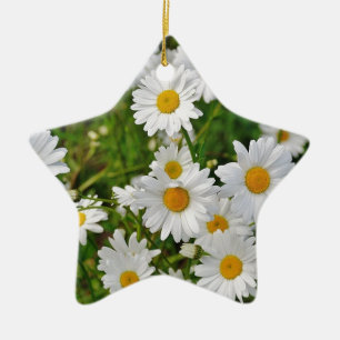 Ornement Étoile En Céramique Fleur marguerite blanche