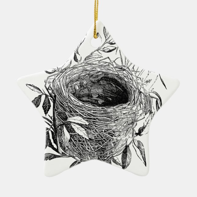 Ornement Étoile En Céramique illustration de cru de nid d'oiseau (Devant)