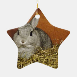 Ornement Étoile En Céramique Lapin nain de Netherland