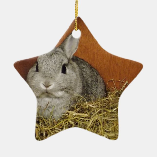 Ornement Étoile En Céramique Lapin nain de Netherland (Devant)