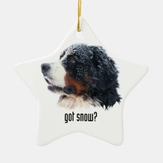 Ornement Étoile En Céramique neige obtenue ? Chien de montagne de Bernese
