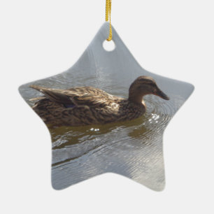 Ornement Étoile En Céramique Oie sauvage nageant dans le lac, Nature, Oiseau