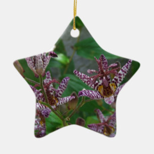 Ornement Étoile En Céramique Orchidée blanche rayée violette rose comme lys de