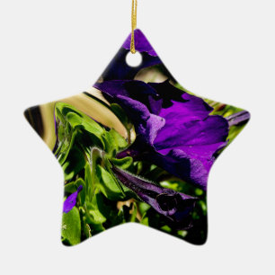 Ornement Étoile En Céramique Panique violette