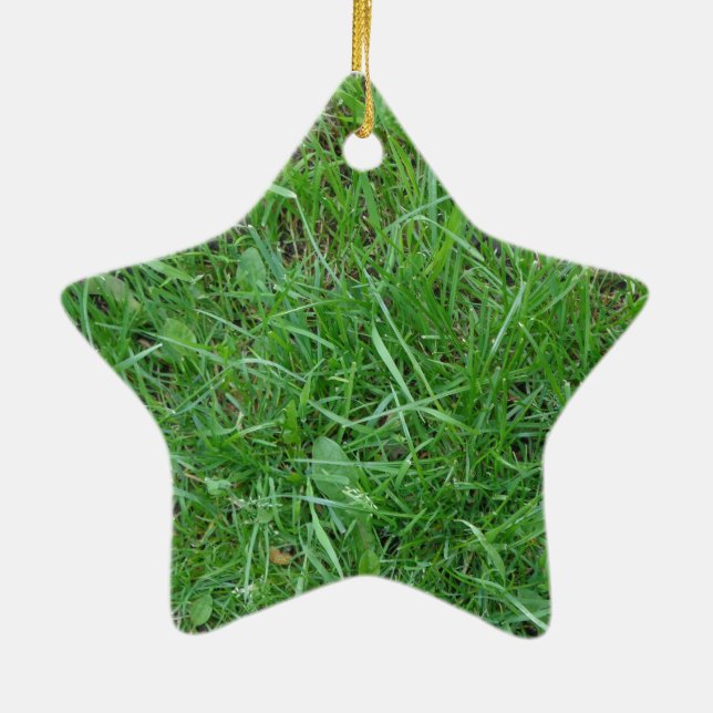 Ornement Étoile En Céramique Patch d'herbe (Dos)