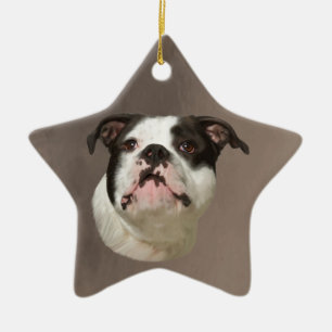Ornement Étoile En Céramique Peinture couleur d'eau Bulldog