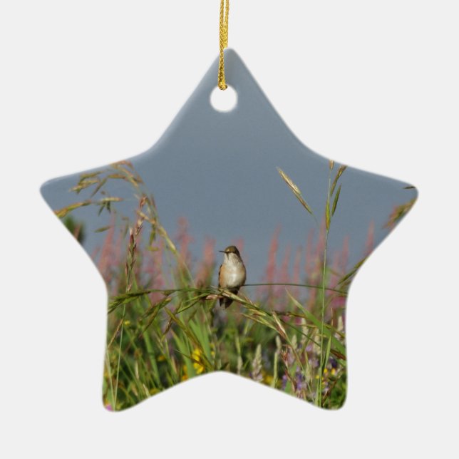 Ornement Étoile En Céramique Petit colibri gras (Devant)