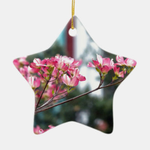 Ornement Étoile En Céramique Pink Dogwood