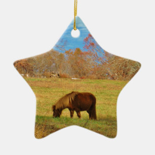 Ornement Étoile En Céramique Pony miniature Brown