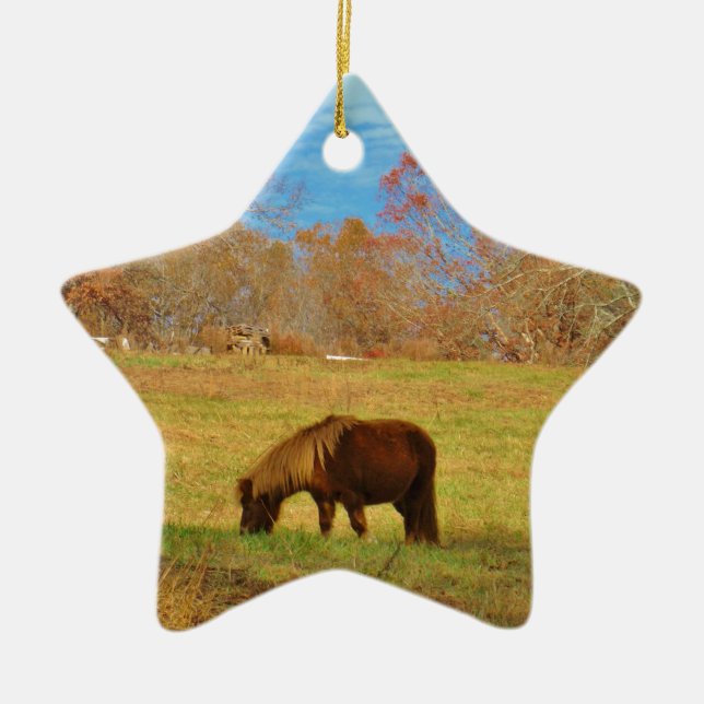 Ornement Étoile En Céramique Pony miniature Brown (Devant)