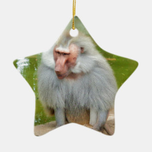 Ornement Étoile En Céramique Singe gris, Ape Macaque, Nature, Animaux