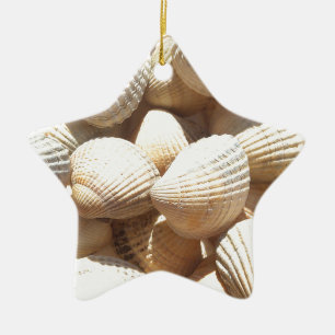 Ornement Étoile En Céramique Tropical Sunny Sea Shells