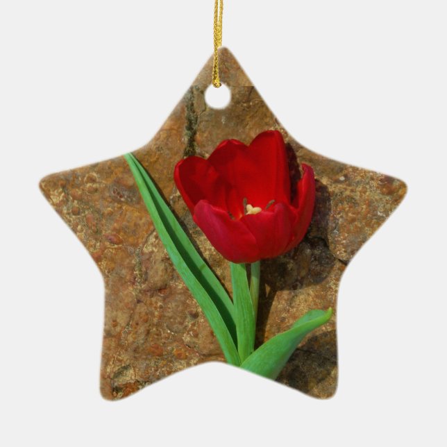 Ornement Étoile En Céramique Tulipe rouge et jaune (Devant)