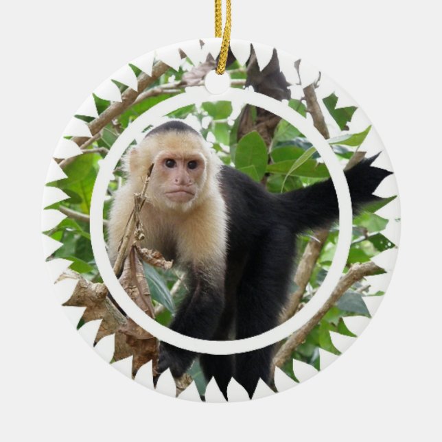 Ornement fait face blanc de singe de capucin (Devant)