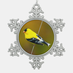 Ornement Flocon De Neige American Goldfinch - Photo originale