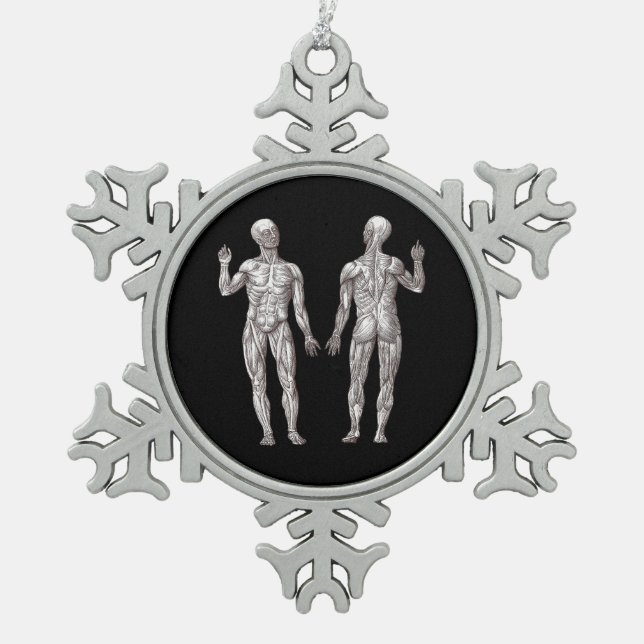 Ornement Flocon De Neige Anatomie humaine - le système musculaire (Devant)