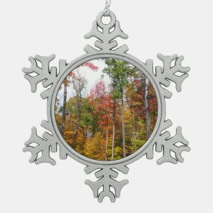 Ornement Flocon De Neige Automne dans la forêt Colorée Photographie d'autom
