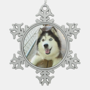 Ornement Flocon De Neige Bel ornement de chien de traîneau sibérien