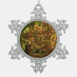 Ornement Flocon De Neige Canopée des Feuilles d'automne II Photographie d'a