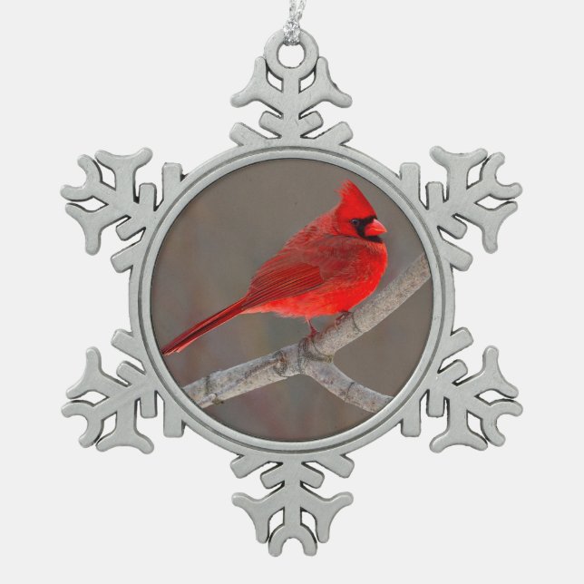 Ornement Flocon De Neige Cardinal (Devant)