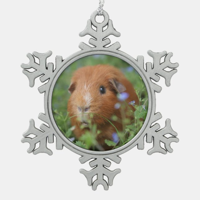 Ornement Flocon De Neige Cavies mignons de cavy d'animal familier (Devant)