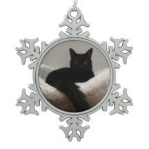 Chat noir