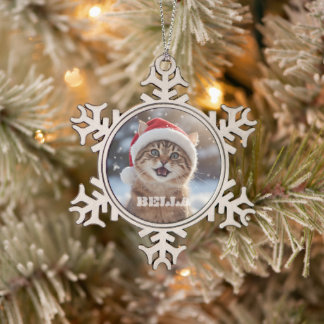 Ornement Flocon De Neige Chat & nom de compagnie personnalisés 