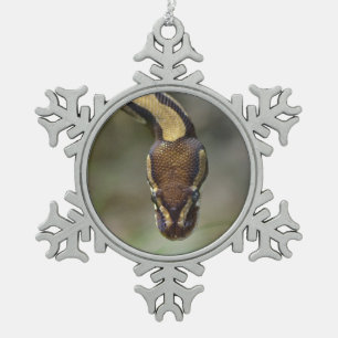 Ornement Flocon De Neige Closeup ball pythonCarte postale