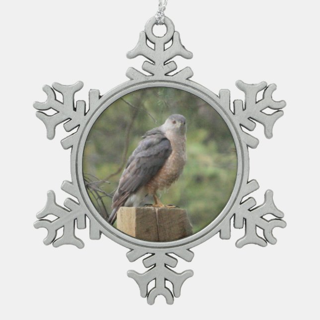 Ornement Flocon De Neige Cooper's Hawk (Devant)