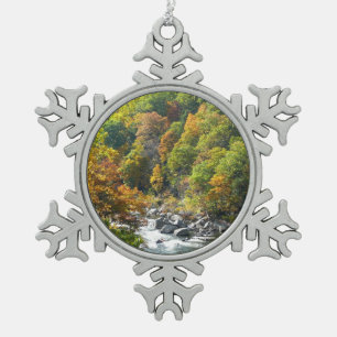 Ornement Flocon De Neige Couleur d'automne dans le parc d'état d'Ohiopyle