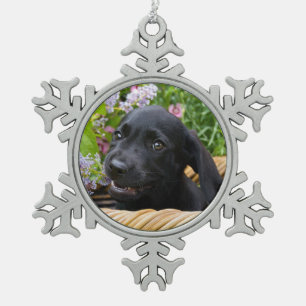 Ornement Flocon De Neige Cube Black Labrador Retriever Chien Puppy Photo *