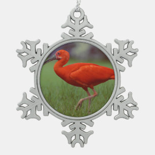 Ornement Flocon De Neige Écarlate IBIS