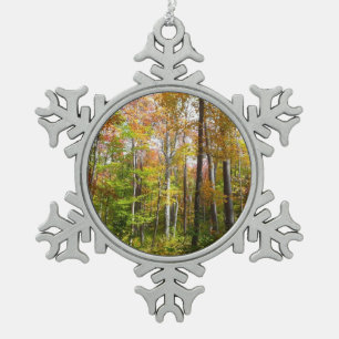 Ornement Flocon De Neige Forêt d'automne I Photographie de paysage automnal