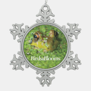 Ornement Flocon De Neige Grenouille dans les algues vertes