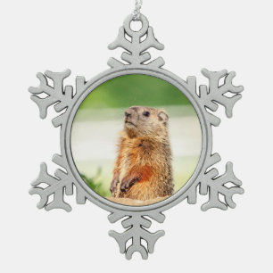 Ornement Flocon De Neige Jeune marmotte