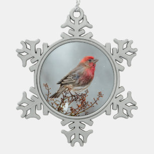 Ornement Flocon De Neige Maison Finch en Neige - Photo originale