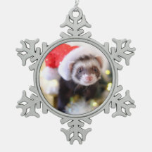 Noël de Santa Hat Ferret
