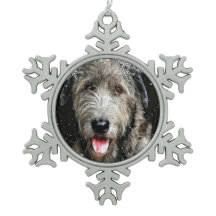 Noël irlandais Wolfhound