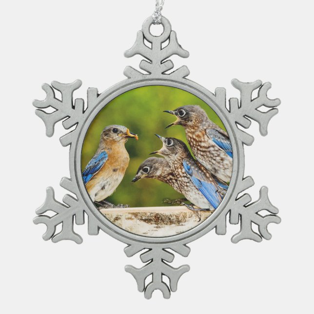 Ornement Flocon De Neige Oiseau bleu oriental (Devant)