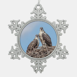 Ornement Flocon De Neige Osprey juvénile dans le nid