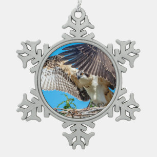 Ornement Flocon De Neige Osprey juvénile dans le nid