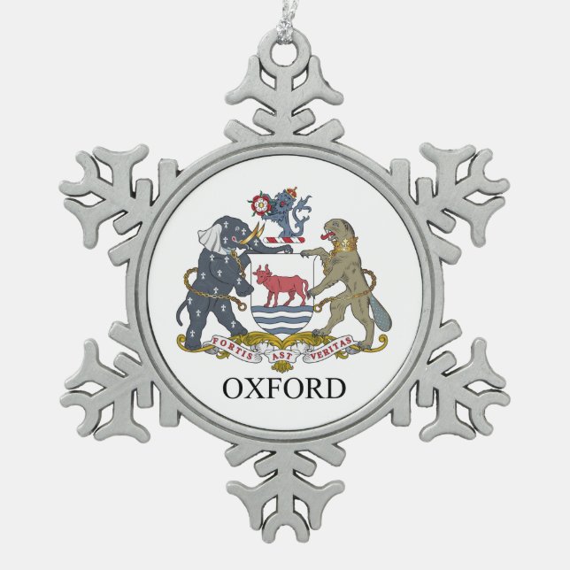 Ornement Flocon De Neige Oxford coat (Devant)