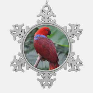Ornement Flocon De Neige Perroquet rouge éclectique