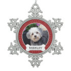 Photo pour animaux de compagnie avec os de chien -