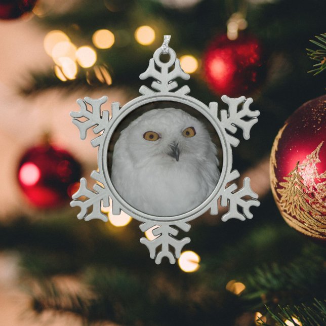 Ornement Flocon De Neige Photo White Snowy Owl (In Situ)